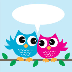 two cute colorful owls