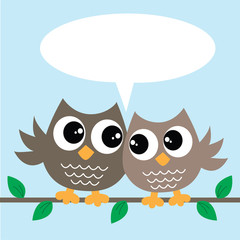two cute brown owls