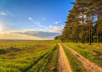 Fototapeta na wymiar Весенний пейзаж, дорога между сосновым лесом и полем с зелеными всходами пшеницы