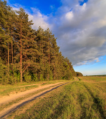 Весенний пейзаж, дорога идет между полем и лесом, сосны освещены лучами закатного солнца © vredaktor