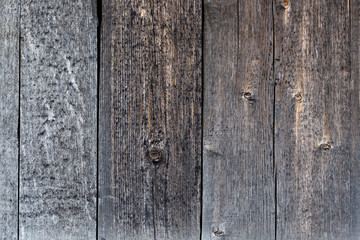 The old wood texture of gray color