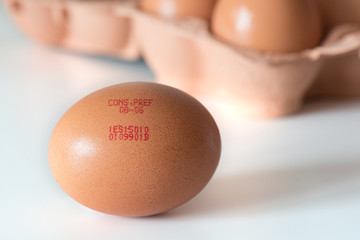 marking code numbers printed in egg. Fresh eggs carton background. Europe registry regulations.