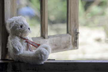 Teddy bear sit and waiting at the window.