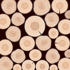 Rings of Tree. Color Vector Illustration.