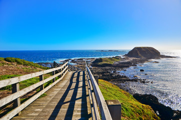 View of the coastline at Nobbies Centre in Phillip Island, Victoria, Australia.
