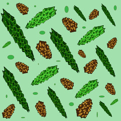 spruce branch. forest card with fir branches and pine cones

