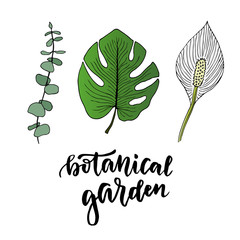 Tropical leaves vector set. Hand drawn vector illustration with leaves and flower. Colorful tropical garden isolated elements
