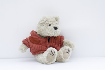 Teddy bear sitting back on a white background .
