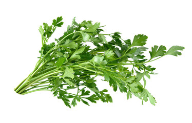Parsley herb isolated on white background