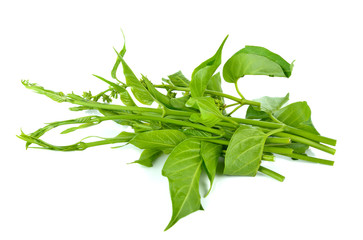 Gumnema inodorum (Lour.) Decne., Drug treatment for diabetes