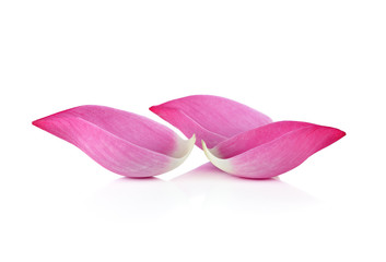 Closeup on lotus petal on white background