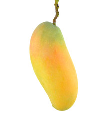 Ripe mango fruit isolated on white background