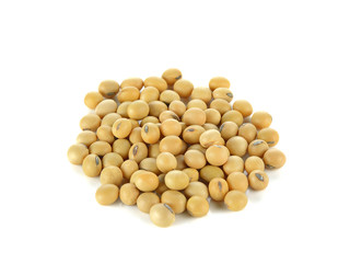 Soybean isolated on white background