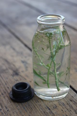 Sprig plant in a glass bottle.