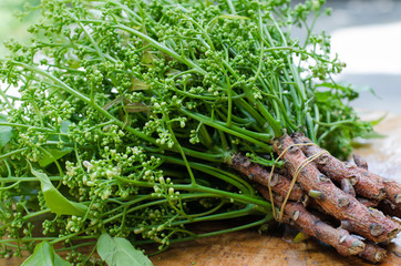 Organic Neem from Natural Farm.