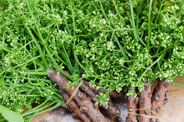 Organic Neem from Natural Farm.