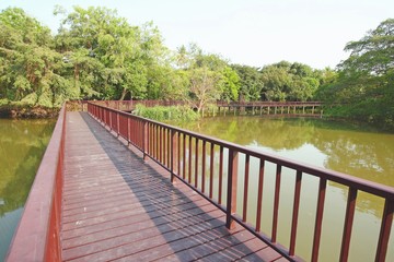 Fototapeta premium Wooden bridge in tropical forest