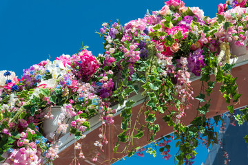 Detail of  beautiful flower arch