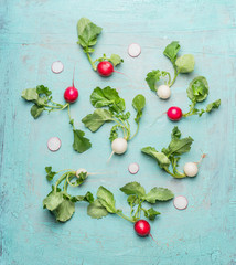 Naklejka na ściany i meble Flat lay of organic white and red radishes with green leaves , top view