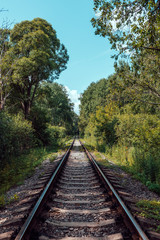 Obraz premium Forest railway