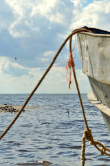 Fototapeta premium Финский залив