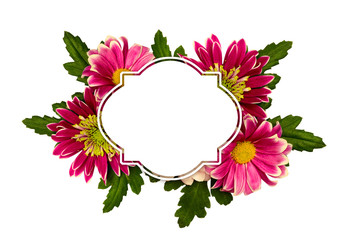 Chrysanthemum flowers background