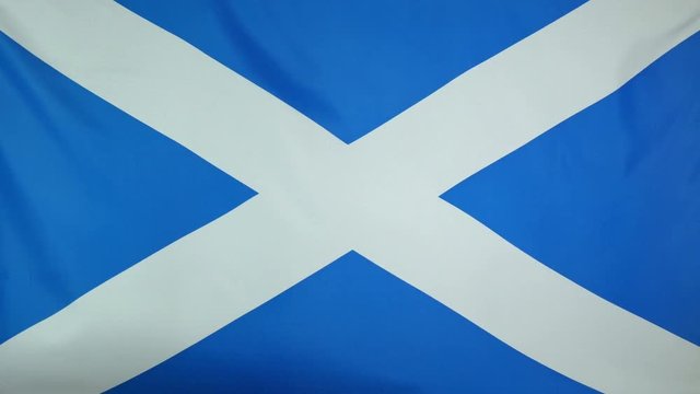 Scotland Flag real fabric Close up 4K
