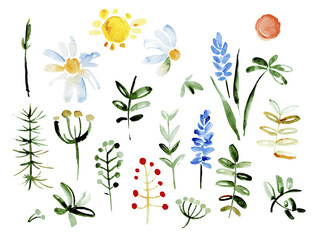 Collection of hand drawn flowers. Elements for your design.  Vector watercolor