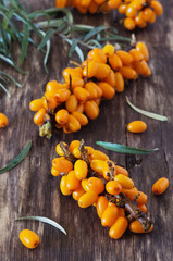 Ripe sea buckthorn