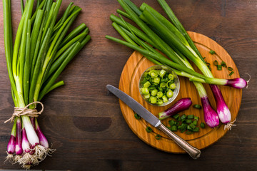 Frische Rote Lauchzwiebeln Frühlingszwiebeln