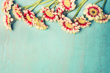 Pretty daisies or gerbera flowers on turquoise blue shabby chic background , top view, border....