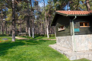 Gardev View with Pine