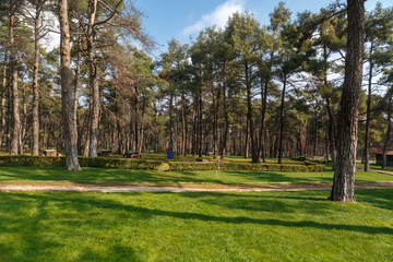 Gardev View with Pine