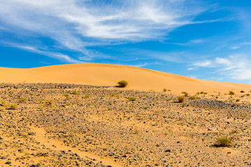 Fototapeta na wymiar sand dune Sahara desert