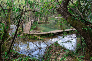 Obraz premium Wooden Bridge on Lake