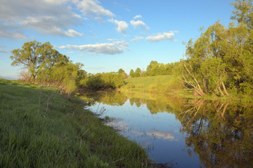 Summer landscape with river