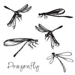Set of different hand drawn dragonflies