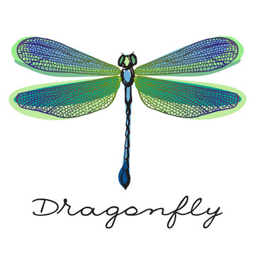 Hand drawn colorful  dragonfly with doodle drawn wings