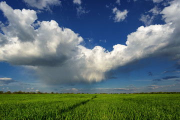 Rain and clouds over the field