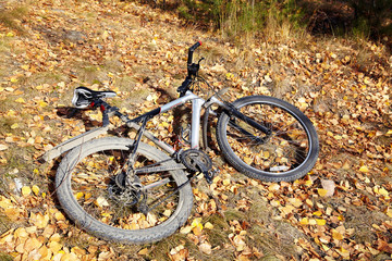 Fototapeta premium mountain bike in the nature