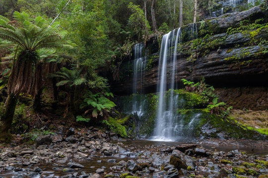 Waterfall In The Tasmanian Wilderness
