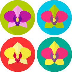 Flat icons of orchids. Blooming of exotic flowers. Vector illustrations of single bud.