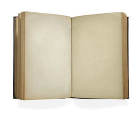 Vintage Open Blank Book