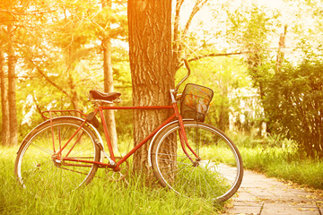 Fototapeta premium Vintage bicycle near tree in the park