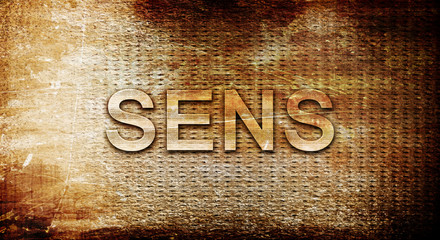 sens, 3D rendering, text on a metal background © Argus