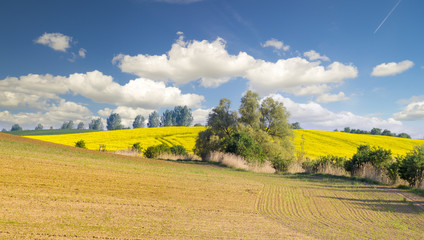 Wiosenne pola w niemczech © Mike Mareen