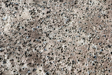 brackish detail of low tide.