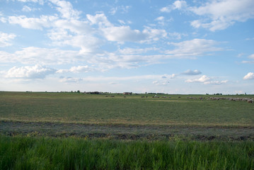 Obraz premium Countryside and meadows landscape near Rusanda resort