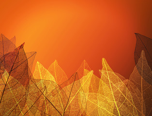 Beautiful abstract background with skeleton leaves