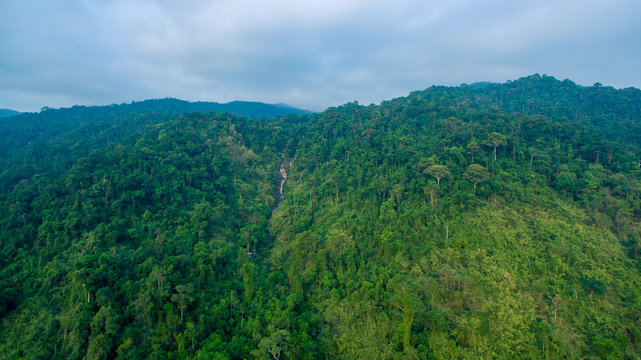 aerial top view of forest mouatain in asian Thailand